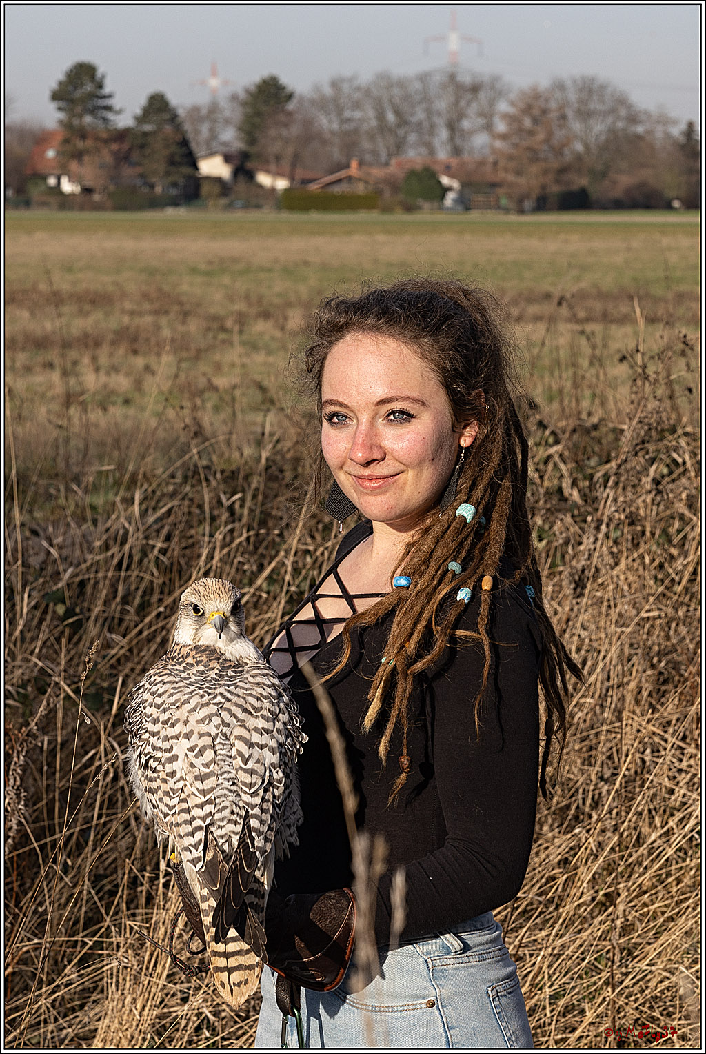 Cheyenne-Halbblut Hunting Wolf in der Falknerei Pierre Schmidt; Gymnich, 09.02.2023